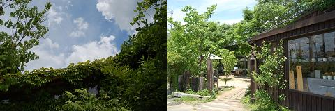 b0189603_1612256.png