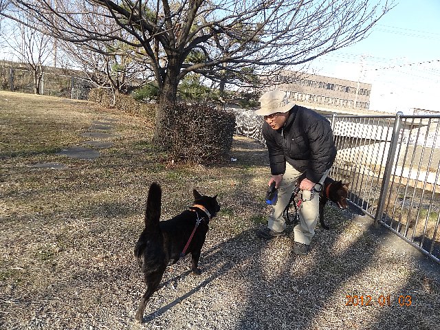 お正月の散歩、箱根駅伝？_f0220504_21494738.jpg