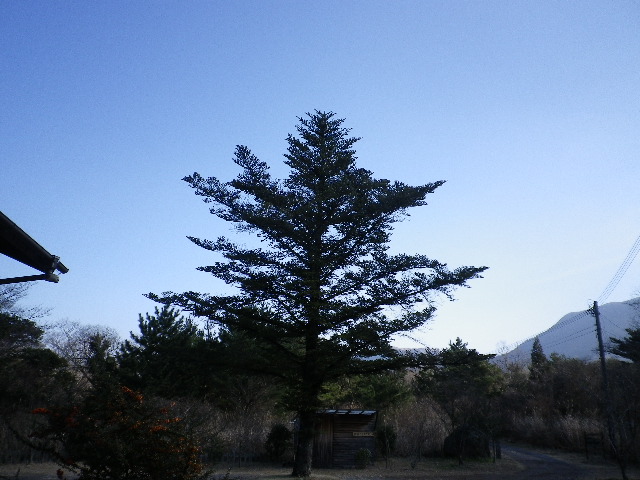 のどかに過ぎています_e0179508_10474469.jpg