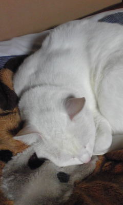 c0180209_21471297.jpg