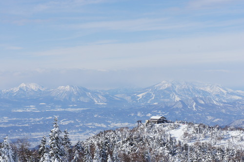 あけましておめでとうございます＆ナイス（やっつけ画像）_a0241913_1492271.jpg