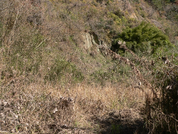 e0002314_2147175.jpg