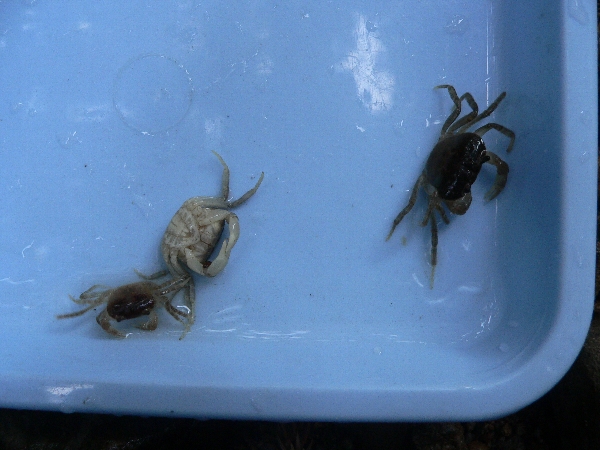 e0002314_21524824.jpg