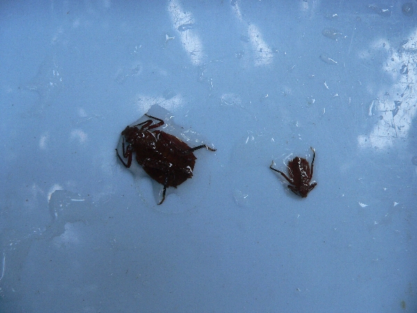 e0002314_21544954.jpg