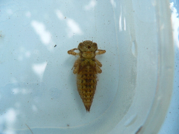 e0002314_2158411.jpg