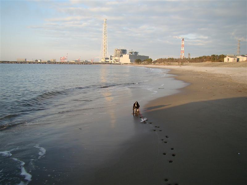 湊浜海岸からの御来光(^o^)_a0127015_11484846.jpg