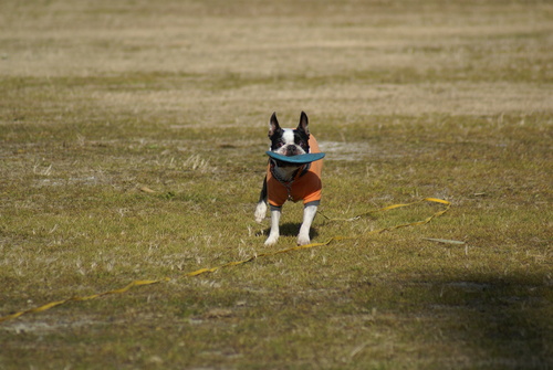 c0220715_16574870.jpg