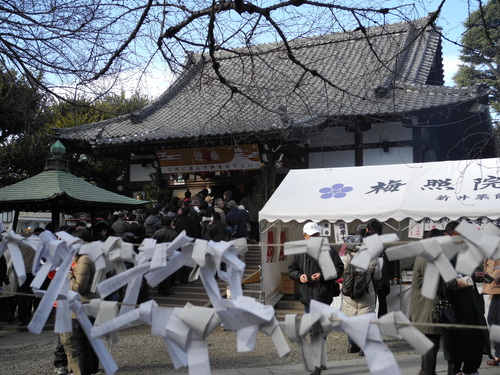 新井薬師にお参りして来ました 黄色い電車に乗せて