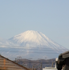 箱根駅伝も終わって_d0097038_17185010.jpg