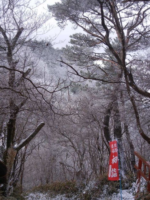 2012年1月3日（火）　雪の初もうで_a0216142_125293.jpg