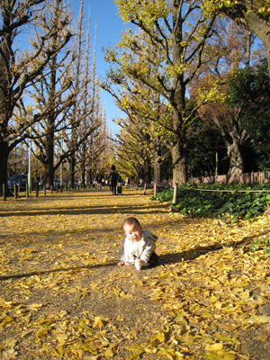 a0143444_1542577.jpg