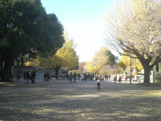 b0034546_0374697.jpg