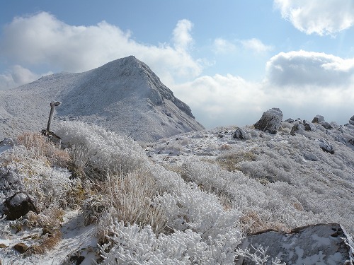 初登山です_b0161750_21244922.jpg