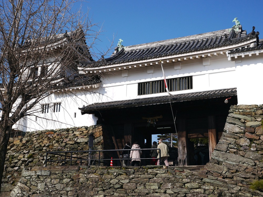 　　新春の和歌山城　　２０２５-０１-０９　００：００_b0093754_2211436.jpg