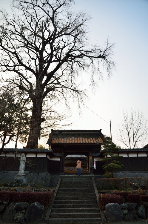 やっぱり阿蘇神社にもお参りに♪　そしてぶらり極楽寺へ_b0123359_22341668.jpg