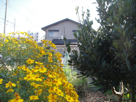 c0108460_1582282.jpg