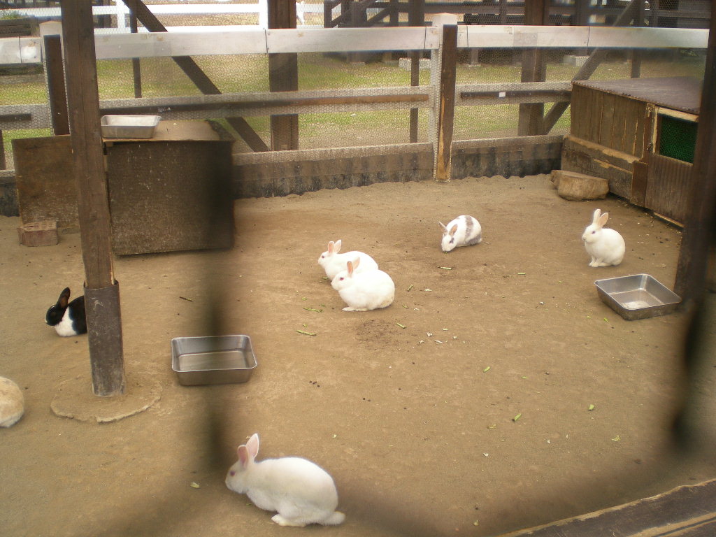 2012年1月3日(火)もう凛々しいなんて言わせないなのよ~!_f0060461_16535370.jpg