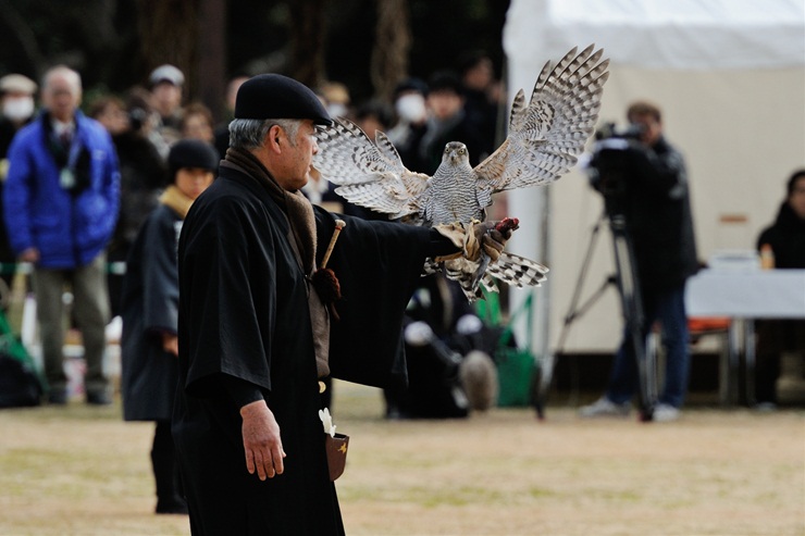 浜離宮恩賜庭園 ~放鷹術~_f0222161_2236431.jpg