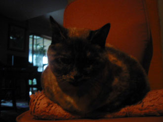 a0155362_22481042.jpg