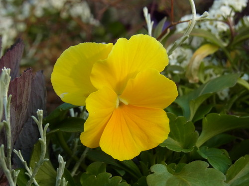 b0194267_20115611.jpg