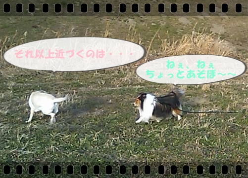 f0234074_1642575.jpg