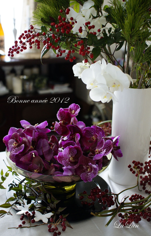 Bonne année 2012_d0141376_15184750.jpg