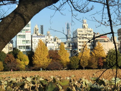 b0214184_17271333.jpg