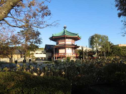 b0214184_17431994.jpg