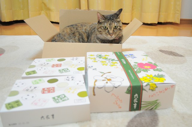 食べきれません!_a0126590_23184641.jpg