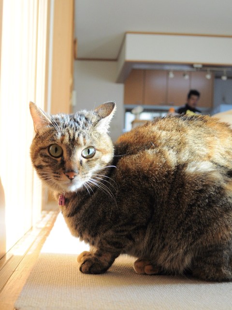 窮屈な幸せ_a0126590_9182320.jpg