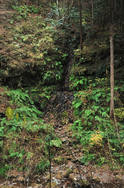b0217090_5492084.jpg