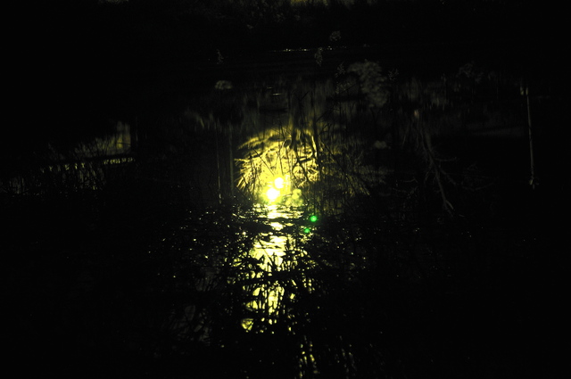 b0217090_6314339.jpg
