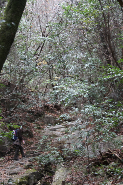 a0233991_21444698.jpg