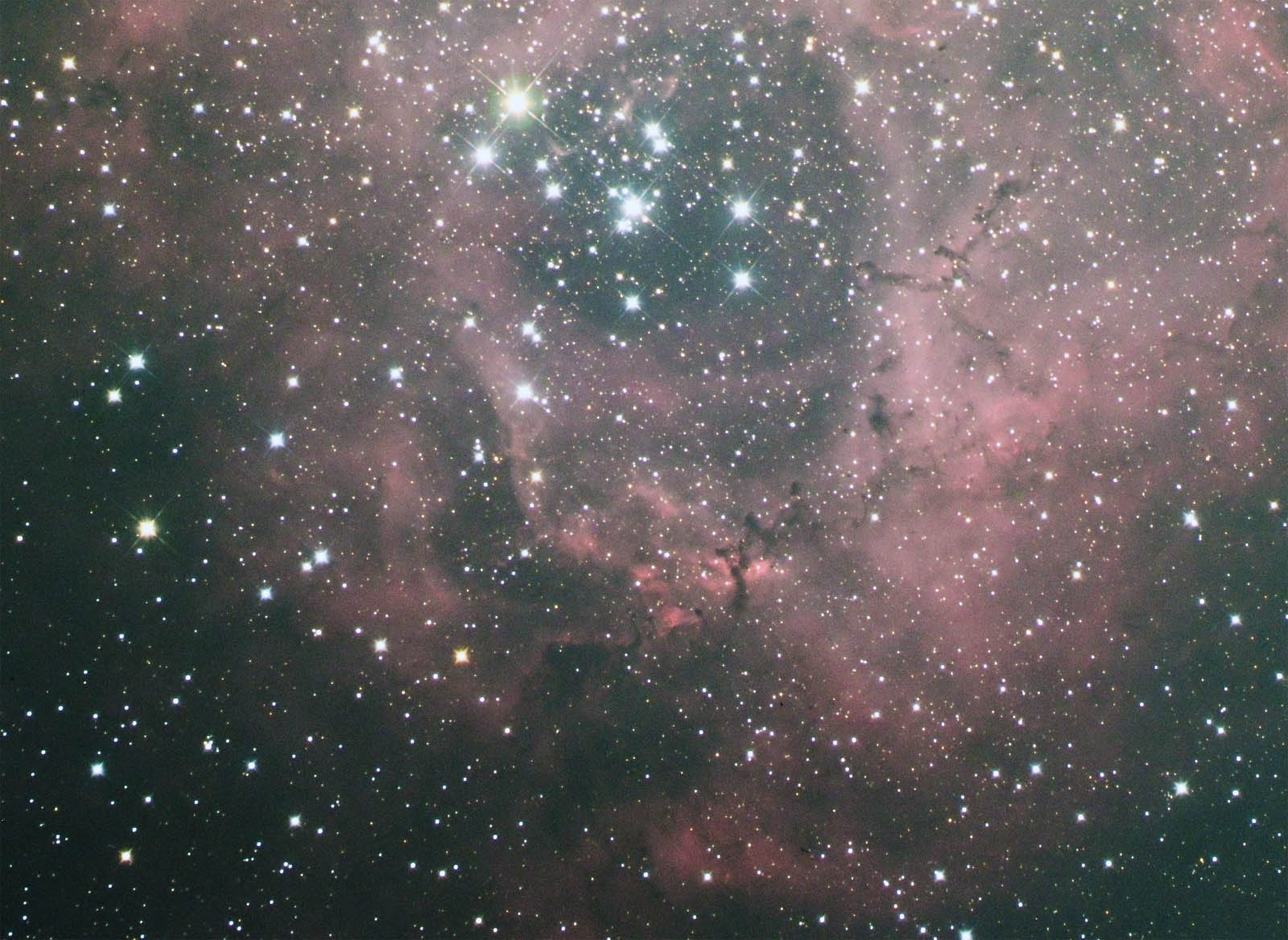 再処理　M42&バラ星雲_e0174091_16113231.jpg