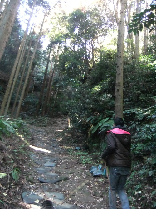 鎌倉霊園～朝比奈切通_f0063791_1831245.jpg