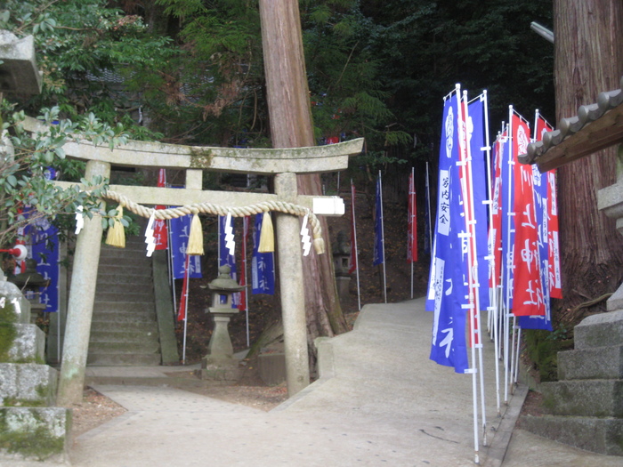 2012年のはじまり_a0233896_23494169.jpg