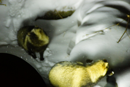 e0120896_6212665.jpg