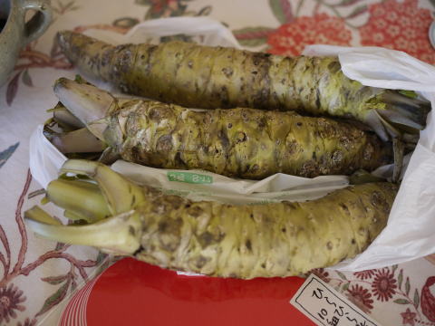 c0090198_6162035.jpg