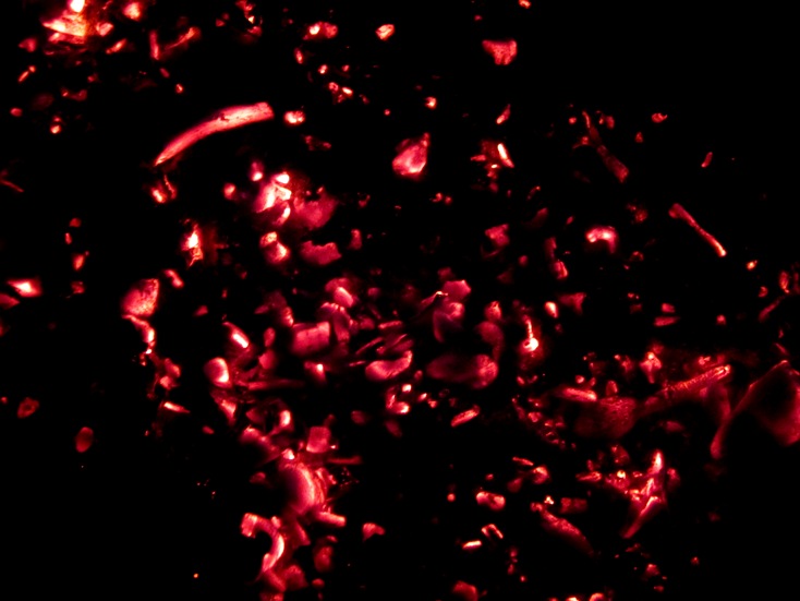 b0192199_22474845.jpg