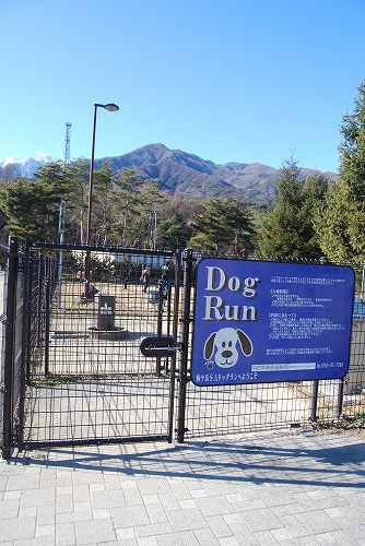駒ケ岳SA_c0124100_2395663.jpg