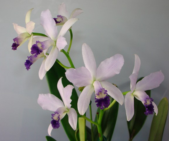 d0007501_12103681.jpg