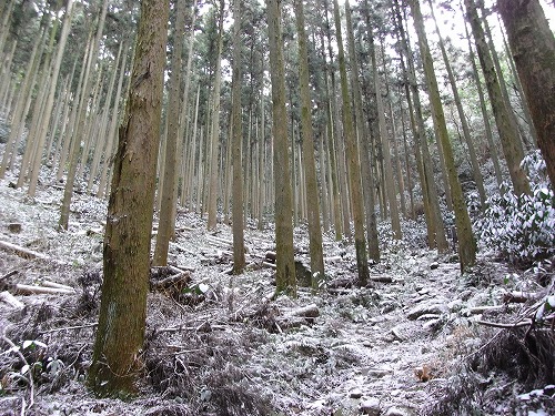 2012年初登り：虚空蔵山_f0187402_2241270.jpg