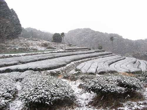 2012年初登り：虚空蔵山_f0187402_224218.jpg