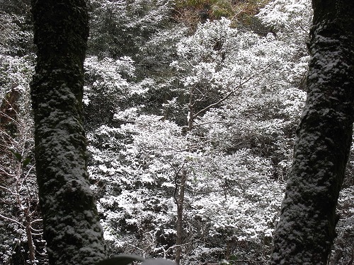 2012年初登り：虚空蔵山_f0187402_225092.jpg