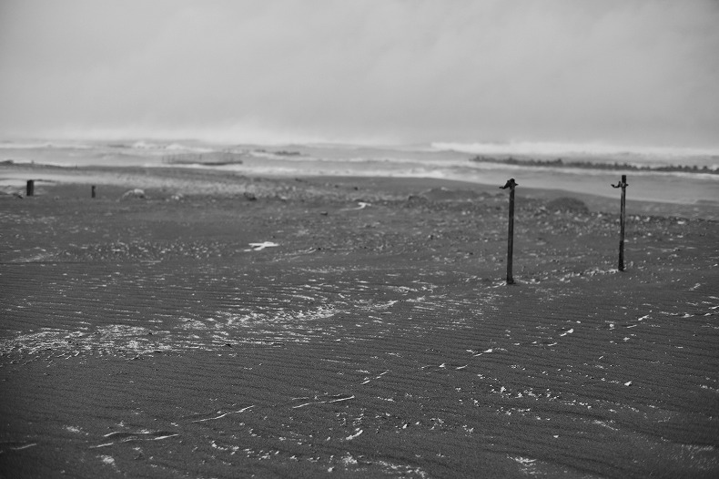 b0128609_158444.jpg