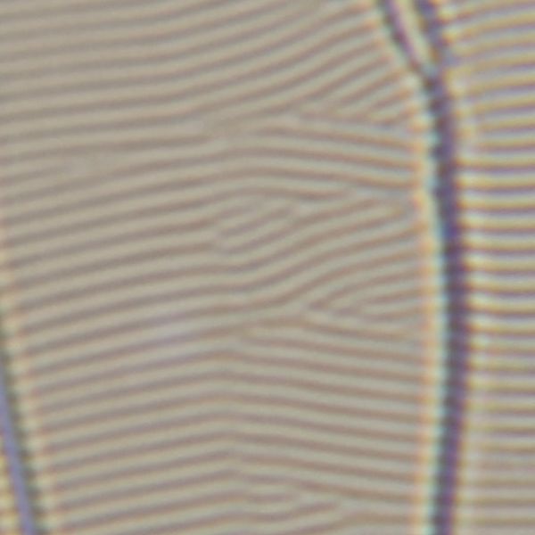 c0164709_2059135.jpg