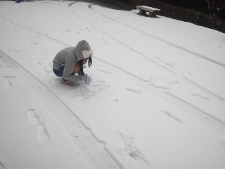 c0032212_23315045.jpg