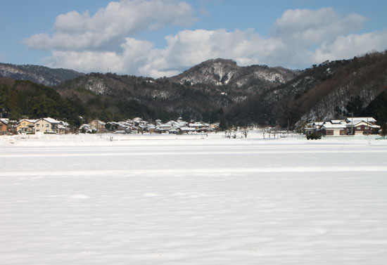 コウノトリ公園_e0048413_22252890.jpg