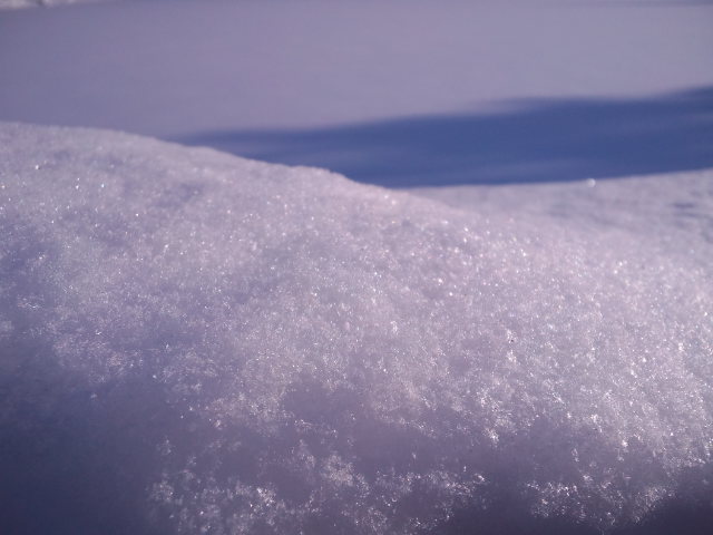 b0207514_0532749.jpg