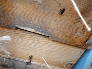 f0232920_10575458.gif